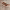 https://res.cloudinary.com/billionhands/image/upload/v1776389632/items/xye8faj1xptxlx1rftzv.jpg-3cover