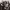 Opeth cover