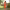 https://res.cloudinary.com/billionhands/image/upload/v1776411792/items/kakhcf4dzonigykoett3.webp-3cover
