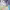 https://res.cloudinary.com/billionhands/image/upload/v1776413473/items/f69g1htx1jfucgnxlxdp.jpg-1cover