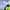 https://res.cloudinary.com/billionhands/image/upload/v1776416253/items/iidgimdhio5prs935nfm.gif-1cover