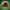 https://res.cloudinary.com/billionhands/image/upload/v1776416255/items/uclejmsbajualzaewcqp.webp-3cover