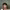 https://res.cloudinary.com/billionhands/image/upload/v1776418034/items/lnufczucxztqkbybpr52.jpg-2cover