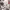 This Sound Will Take You Somewhere New | Deep Focus Chillstep Music 2026 (March 2026) cover