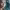 Activate Hyperfocus | Study Music for Concentration & Deep Work 2026 (February 2026) cover