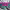 Leviathan Wakes (2011) cover