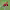 https://res.cloudinary.com/billionhands/image/upload/v1776436534/items/fnrwr1q2n4pcnbed7gn2.jpg-2cover