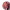https://res.cloudinary.com/billionhands/image/upload/v1776436943/items/torj5abtiu8ph22p6iid.png-0cover