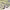 https://res.cloudinary.com/billionhands/image/upload/v1776449472/items/hkgxpx7ddihulthjqkmw.jpg-1cover