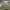 https://res.cloudinary.com/billionhands/image/upload/v1776450114/items/hgupbxpu1fjfxumiea4c.jpg-2cover