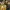 https://res.cloudinary.com/billionhands/image/upload/v1776455593/items/ne0y8ktabaerw6vm64yw.jpg-3cover