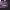 https://res.cloudinary.com/billionhands/image/upload/v1776455981/items/pug00rwf2wka6jrvdjsq.jpg-0cover
