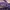https://res.cloudinary.com/billionhands/image/upload/v1776455983/items/ssbnehoctko6nkx4aopu.jpg-2cover
