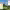https://res.cloudinary.com/billionhands/image/upload/v1776457019/items/gexlqnn0k30o382g0gjf.jpg-1cover