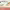 https://res.cloudinary.com/billionhands/image/upload/v1776468867/items/cfoh6bnsrhvflpdhdn6s.png-0cover