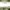 https://res.cloudinary.com/billionhands/image/upload/v1776499707/items/ujyf3meafbwyraevyq4q.jpg-0cover