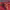 https://res.cloudinary.com/billionhands/image/upload/v1776507991/items/gowdhoxevo9ejkjxbuvy.jpg-0cover