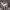 https://res.cloudinary.com/billionhands/image/upload/v1776508246/items/d99itmsgivnfofzofory.jpg-3cover