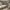 https://res.cloudinary.com/billionhands/image/upload/v1776511490/items/yf8kleeruor4j6rdjvwc.jpg-2cover