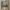 https://res.cloudinary.com/billionhands/image/upload/v1776513217/items/jg6opw3mqifat75lox9q.jpg-1cover