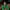 https://res.cloudinary.com/billionhands/image/upload/v1776514778/items/n7edwzhesvz0lrselkd6.jpg-2cover