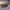 https://res.cloudinary.com/billionhands/image/upload/v1776525393/items/umxzifjinotqvvkmxegb.jpg-1cover