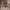https://res.cloudinary.com/billionhands/image/upload/v1776527043/items/crbykf0jeaq51lz93fyl.webp-3cover