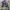 https://res.cloudinary.com/billionhands/image/upload/v1776527105/items/gubnvmhl41heafehdqsp.png-2cover