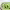 Edamame cover