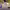 https://res.cloudinary.com/billionhands/image/upload/v1776527934/items/qxihxkfxvk5ywkfnhcfp.jpg-3cover