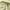 https://res.cloudinary.com/billionhands/image/upload/v1776529466/items/je0yvnaw806egz2zfw9m.jpg-3cover