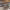 https://res.cloudinary.com/billionhands/image/upload/v1776541264/items/omujj9glejbwgakeix7v.jpg-0cover