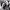 https://res.cloudinary.com/billionhands/image/upload/v1776541284/items/qlydn6gihzmeujslqwjy.jpg-3cover