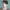 https://res.cloudinary.com/billionhands/image/upload/v1776545365/items/oytbexyga4dsessea5pm.png-0cover