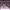 Los Angeles Lakers NBA Championship 2020 cover