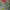 https://res.cloudinary.com/billionhands/image/upload/v1776569384/items/rhgyv70ujxpnpedeqrbh.jpg-0cover