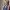 https://res.cloudinary.com/billionhands/image/upload/v1776570094/items/rvneg9hvyry1tweenihm.jpg-2cover