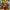 Donkey Kong Country Returns HD (2026) cover