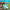 https://res.cloudinary.com/billionhands/image/upload/v1776577242/items/uzdedcjneoxmtcwfs9co.avif-1cover
