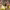 Craft in America: WEST (2025) cover