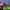 https://res.cloudinary.com/billionhands/image/upload/v1776593957/items/hzfsth2kqivhq1fddqhv.jpg-2cover