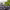 https://res.cloudinary.com/billionhands/image/upload/v1776594777/items/di2yzt2p3gaqnaww0vgq.jpg-0cover