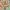 https://res.cloudinary.com/billionhands/image/upload/v1776594964/items/z4kpoc3lwfd80jnc0vzu.jpg-0cover