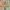 https://res.cloudinary.com/billionhands/image/upload/v1776594965/items/ehrm6wbygrdaovariy4k.jpg-2cover