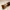 NOORELA Beauty FlawlessCore Foundation Brush cover