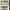https://res.cloudinary.com/billionhands/image/upload/v1776602427/items/teo7xyp9wzjs0qauctao.jpg-1cover