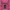 https://res.cloudinary.com/billionhands/image/upload/v1776602427/items/vw9rskaeii7c46eoienb.jpg-0cover