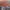 https://res.cloudinary.com/billionhands/image/upload/v1776605625/items/mpg1ivwgqucpodqy4i49.jpg-2cover