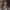 https://res.cloudinary.com/billionhands/image/upload/v1776608748/items/en75mnxhmb2pmmqqaptk.jpg-0cover