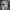 https://res.cloudinary.com/billionhands/image/upload/v1776608761/items/mue4egjzwyp2ijfwdiav.jpg-2cover